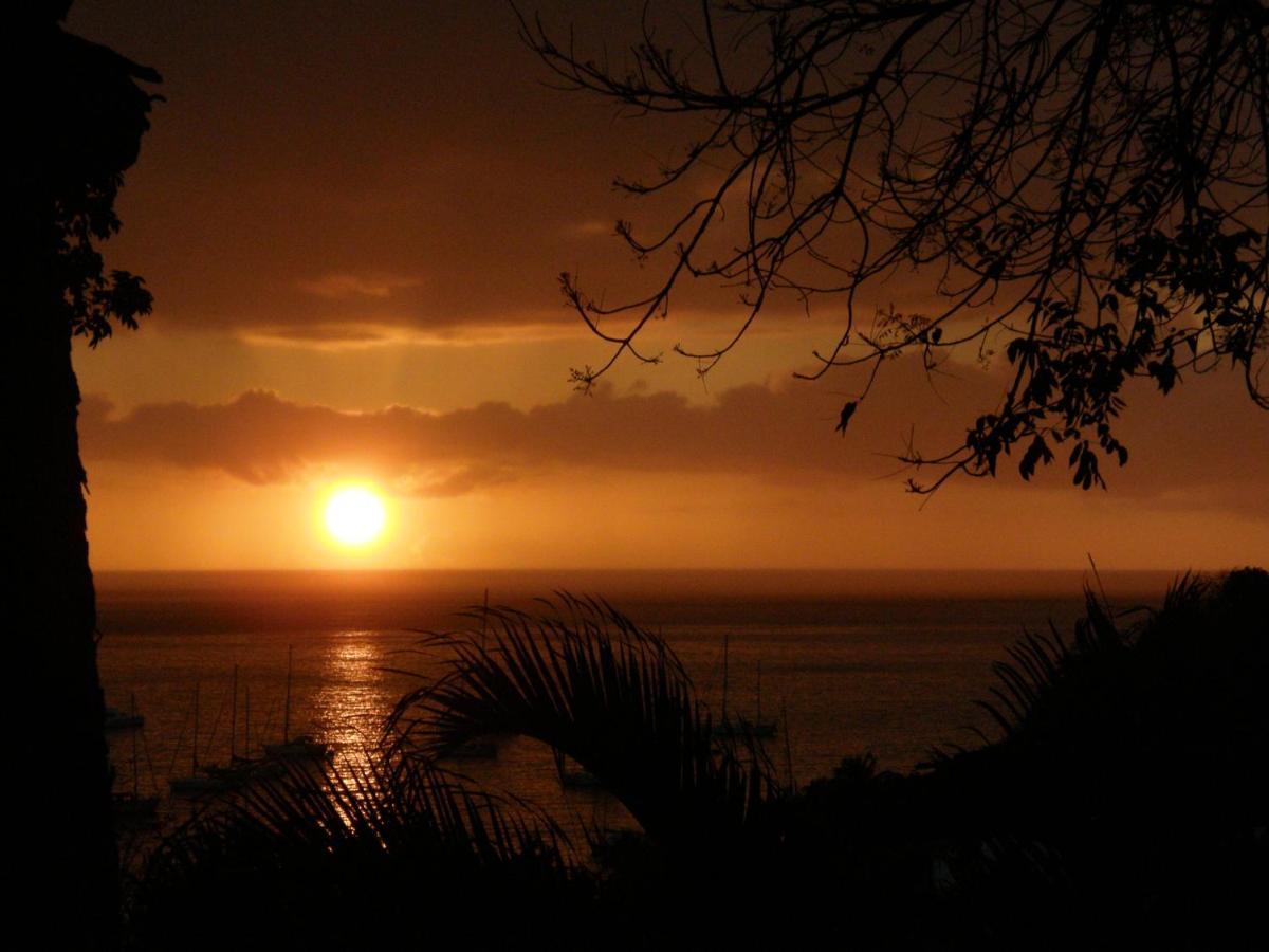 Le Matelot De La Baie Vila Deshaies Exterior foto